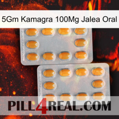 5Gm Kamagra 100Mg Oral Jelly cialis4